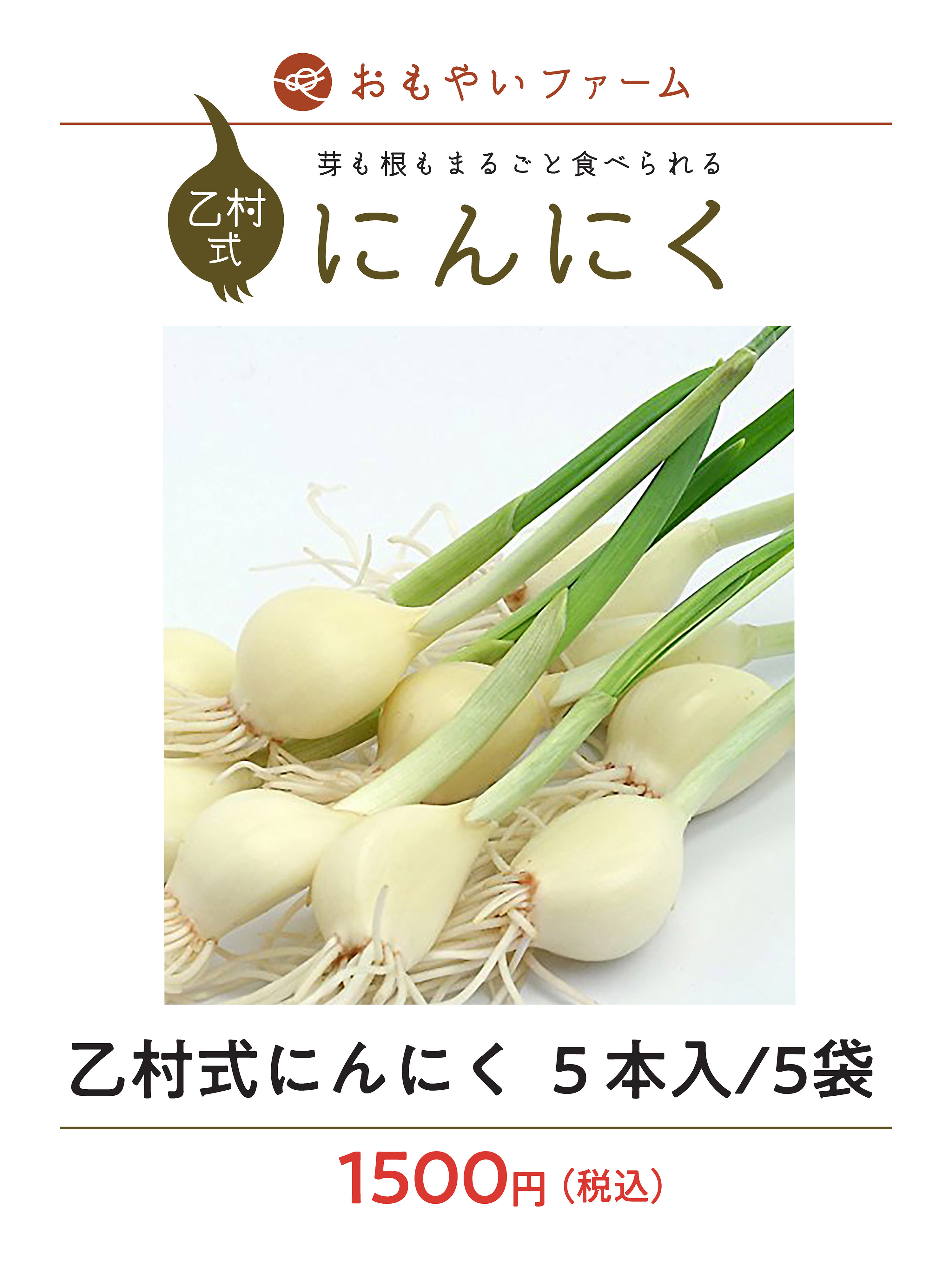 乙村式にんにく5袋　1500円
