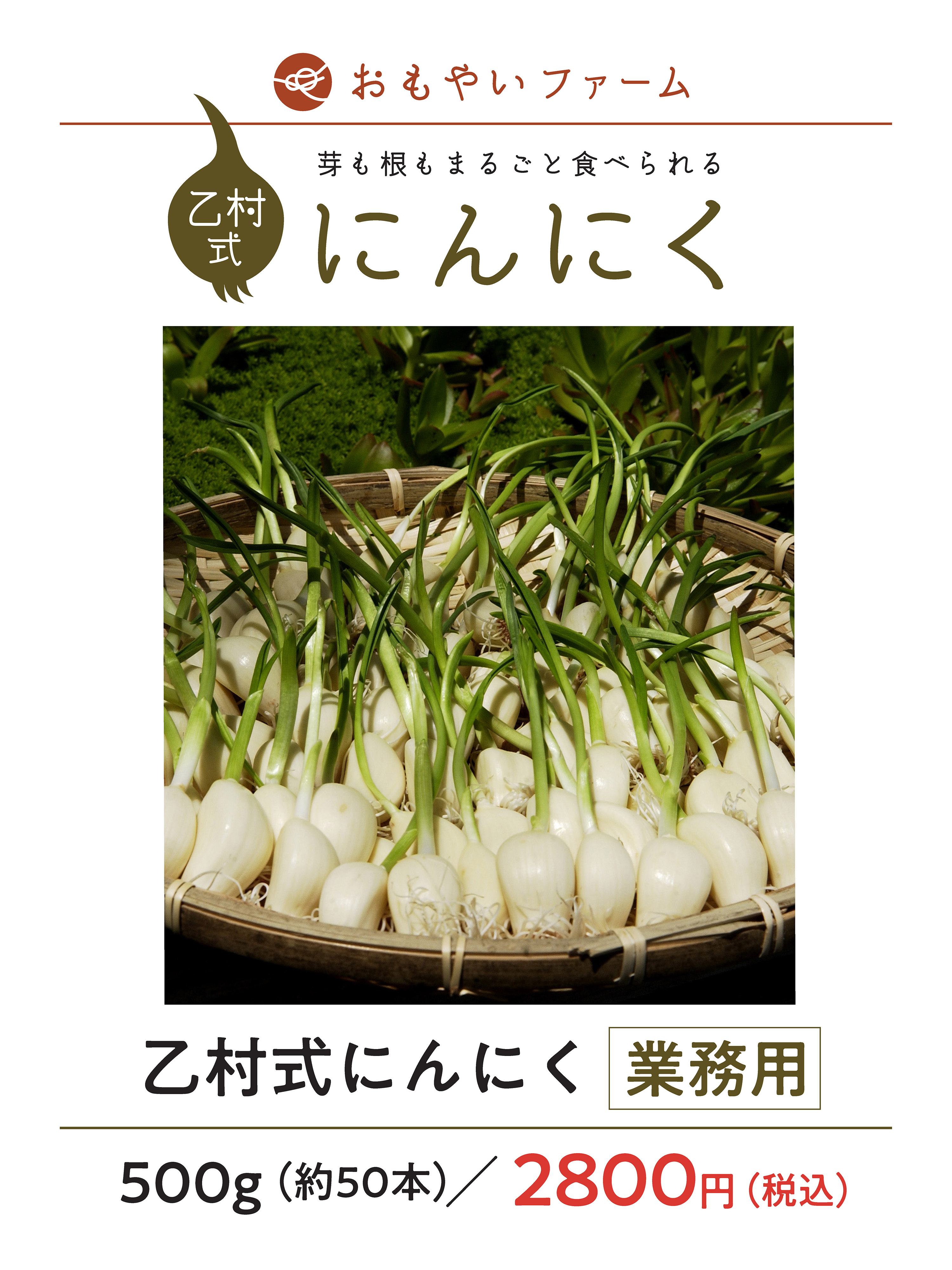 乙村式にんにく 【業務用５００ｇ】